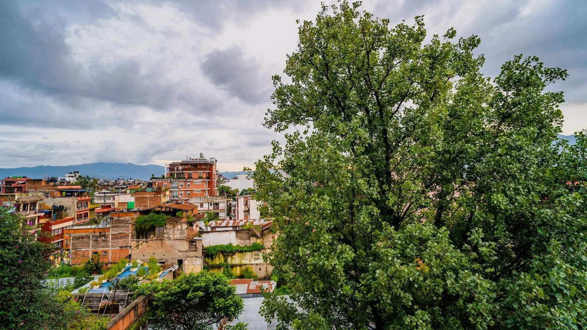 Rest Up Thamel Hostel Katmandu